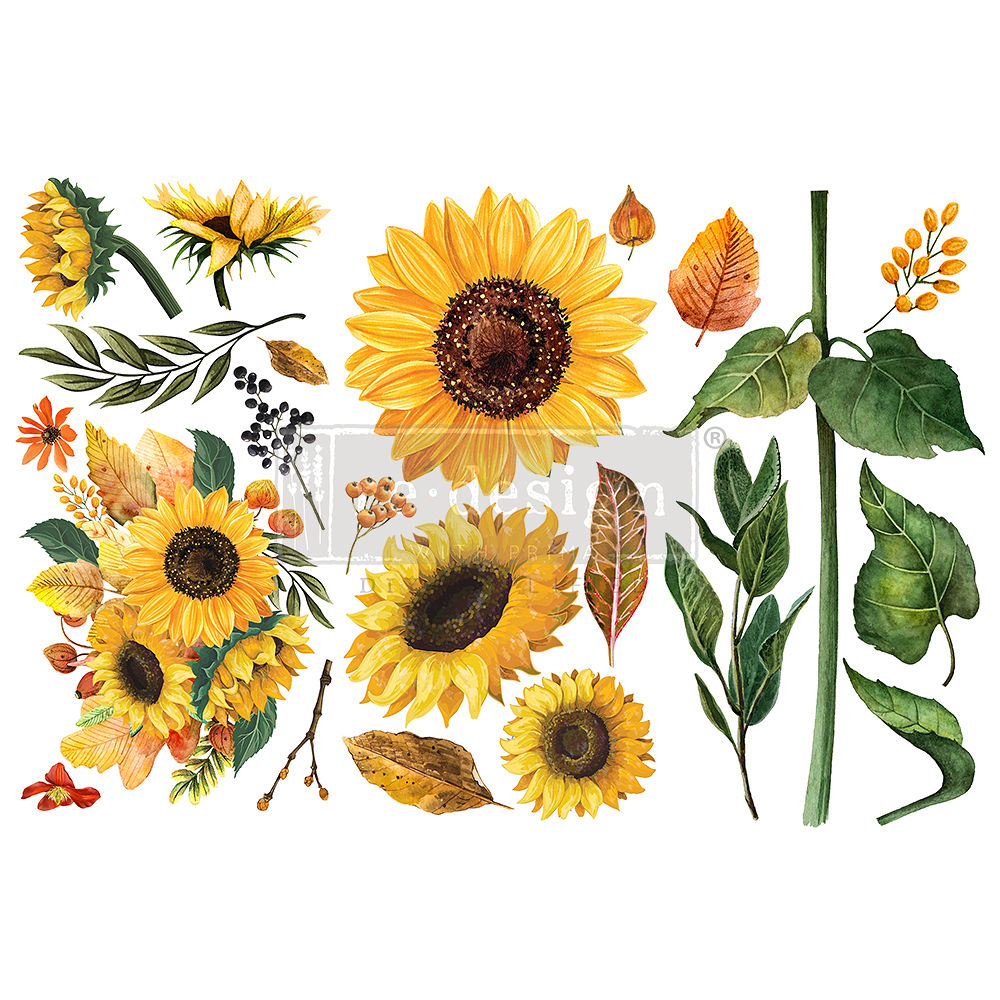 Transfer - Sunflower Afternoon