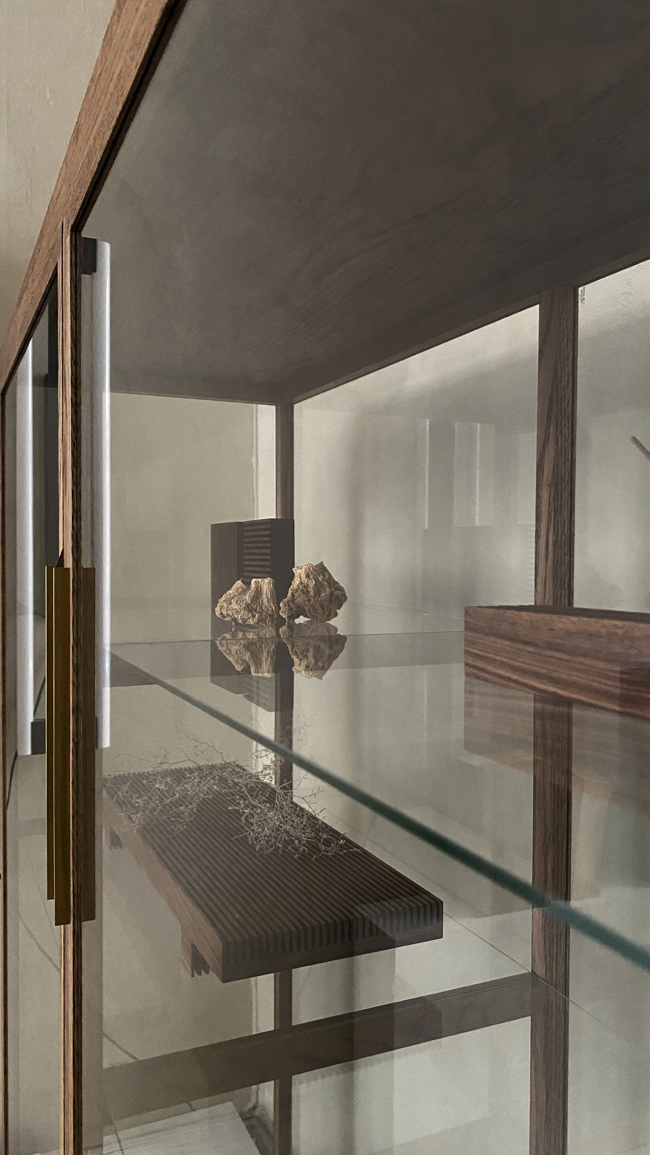 COLLECTOR'S Cabinet - 3