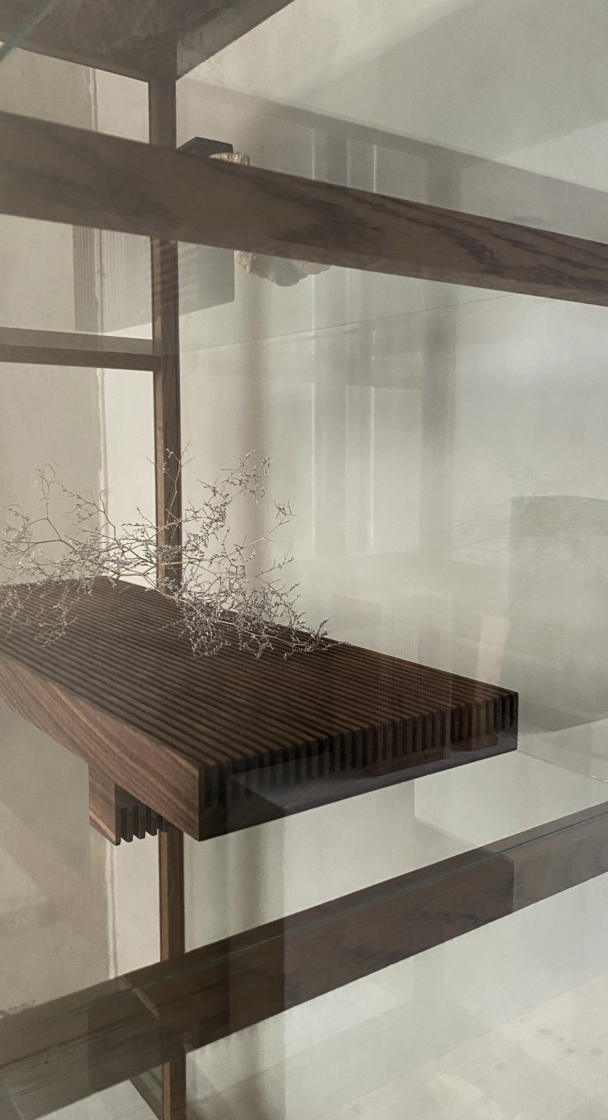COLLECTOR'S Cabinet - 4