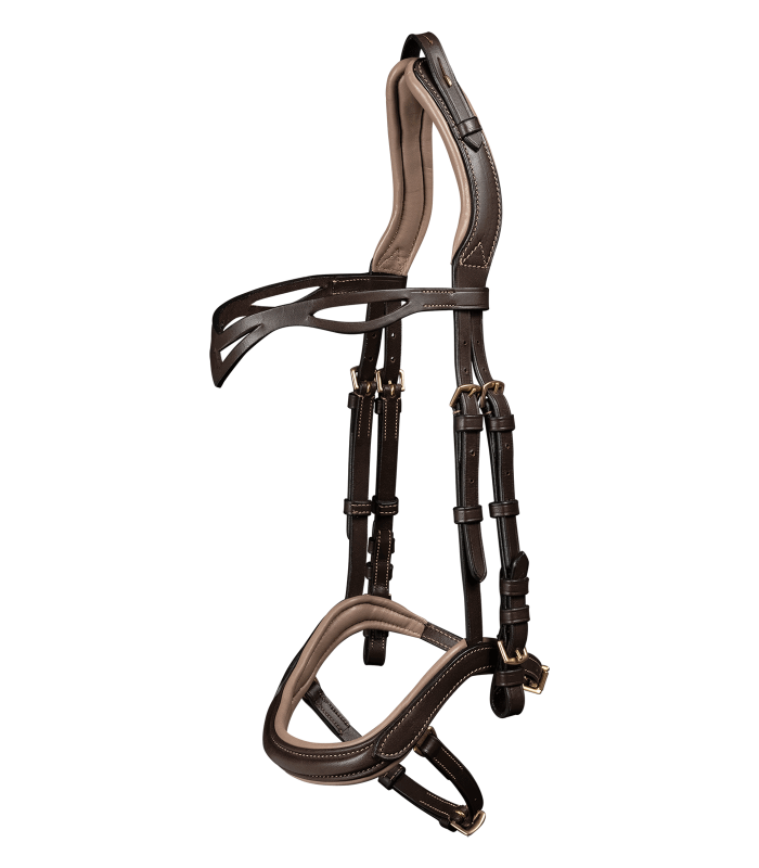 Islandsträns anatomiskt WL, brun