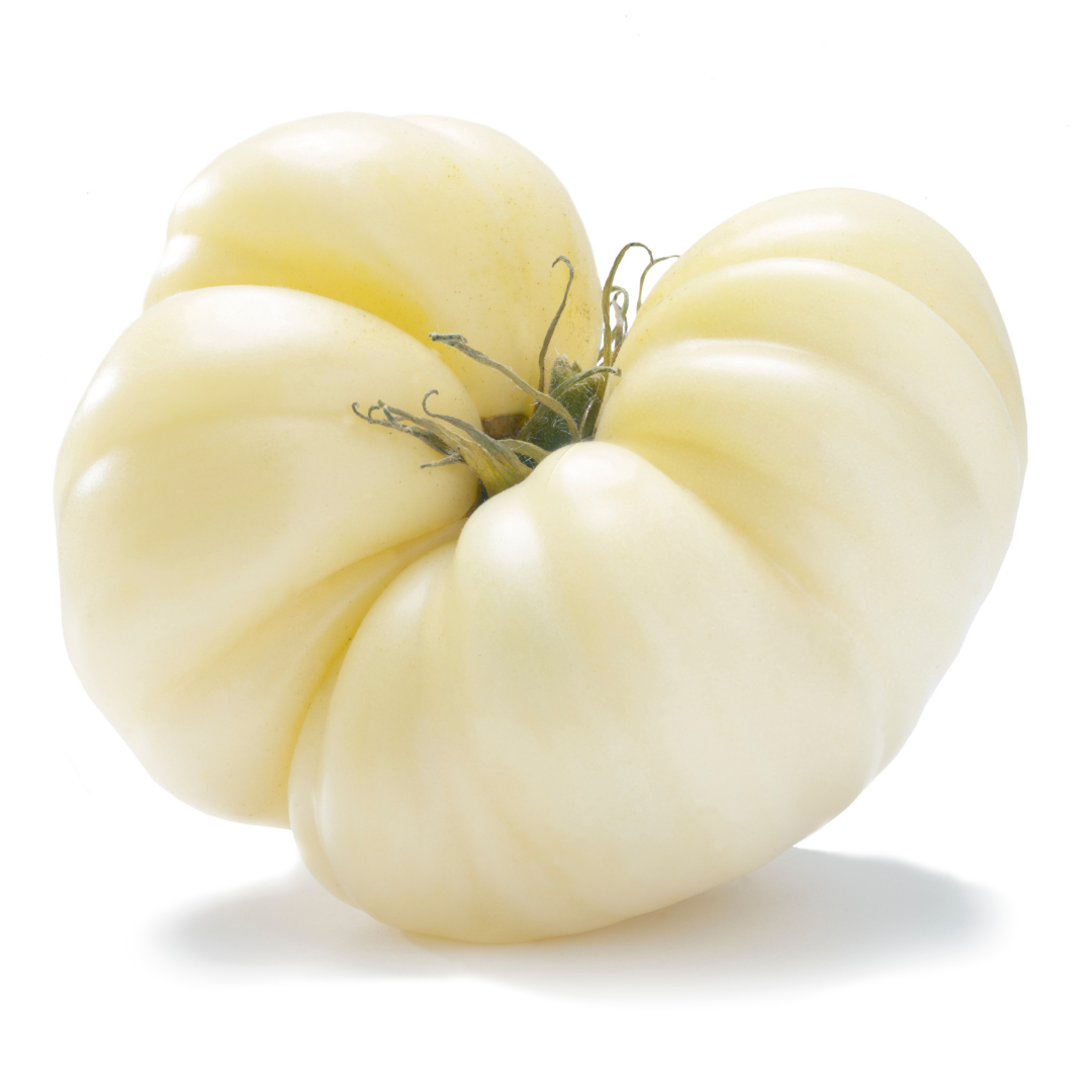 Bifftomat - White Beauty - Kultursort