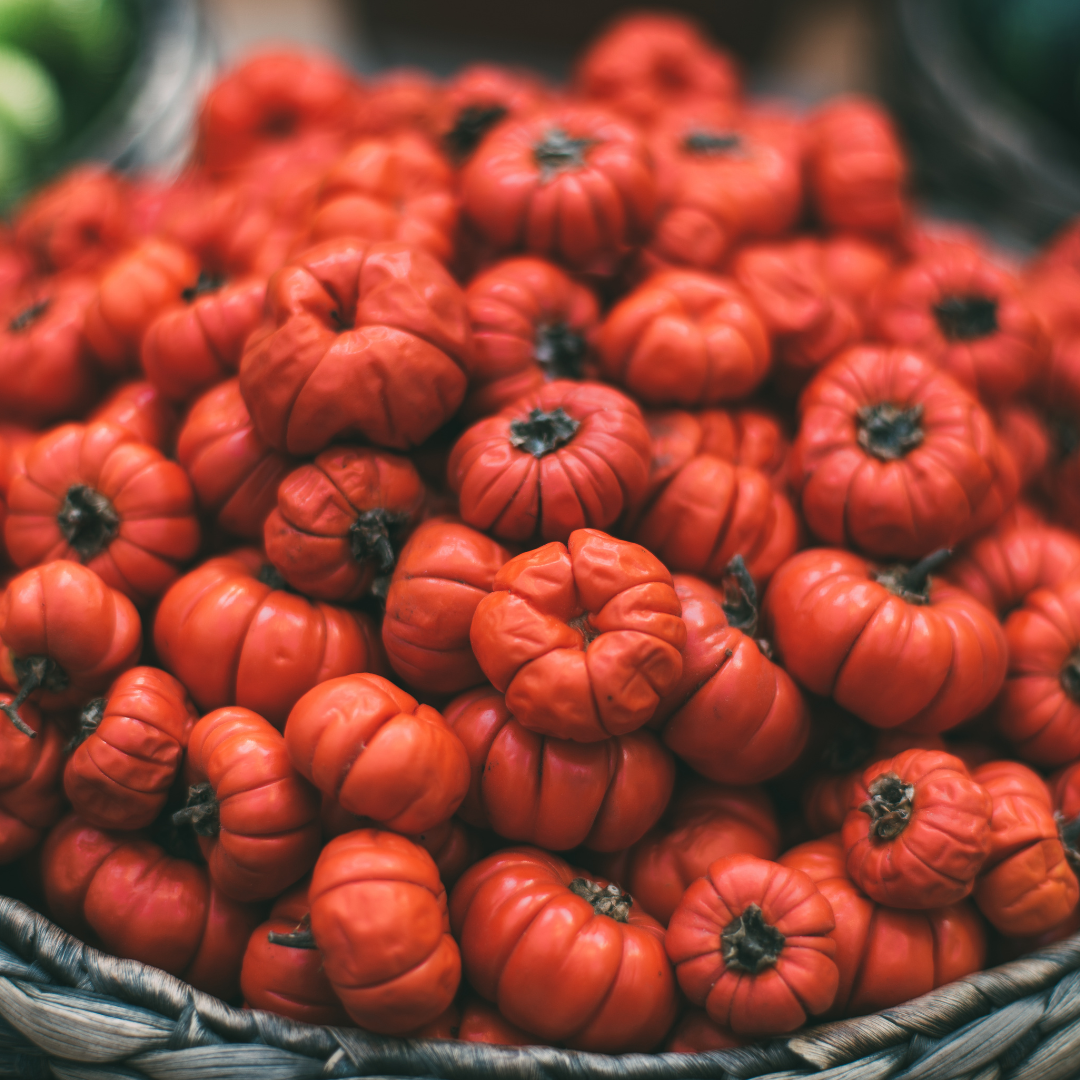 Etiopisk Aubergine - Pumpkin on a Stick