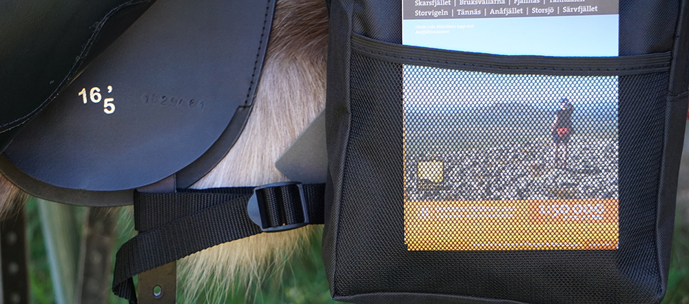 QHP Saddlebag, black - 6