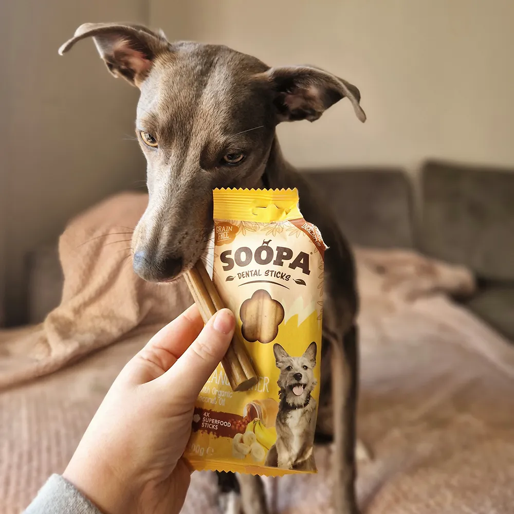 Hund tuggpinnar vegetariska och glutenfria och spannmålsfria Soopa 