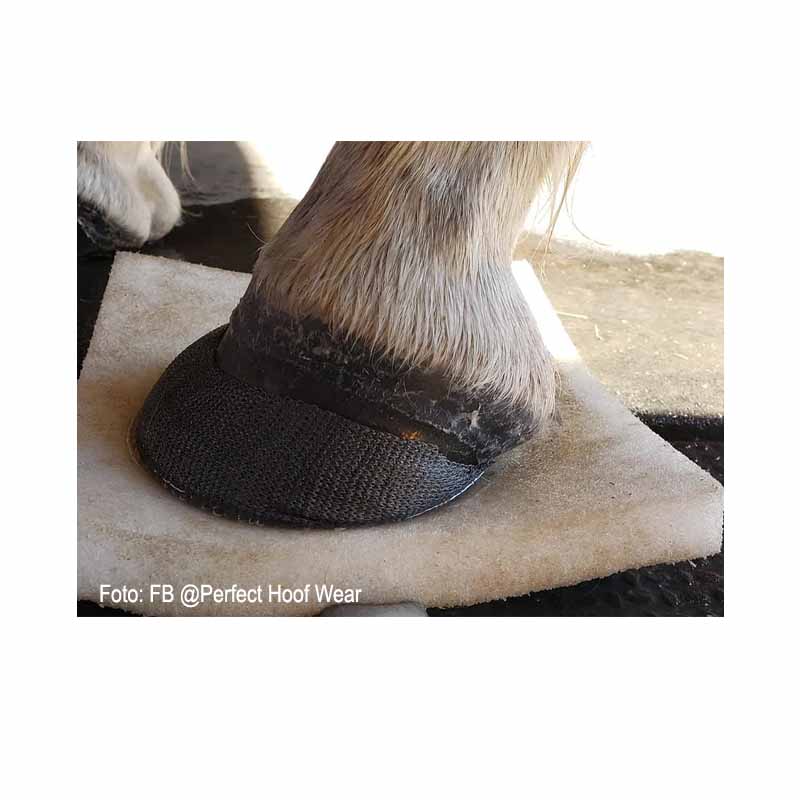 PHW Impression  Pad  - 3