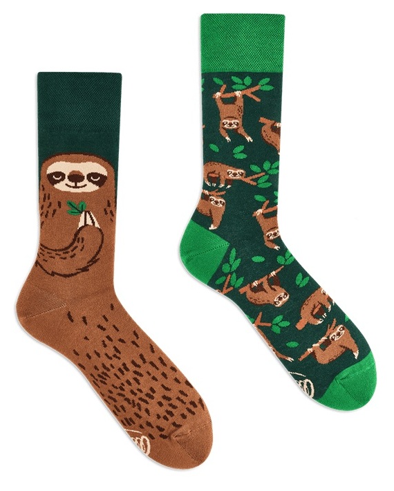  Many Mornings Sloth Life