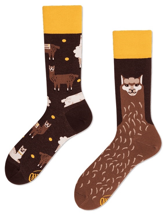 Many Mornings Fluffy Alpaca