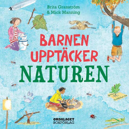 barn upptäcker naturen