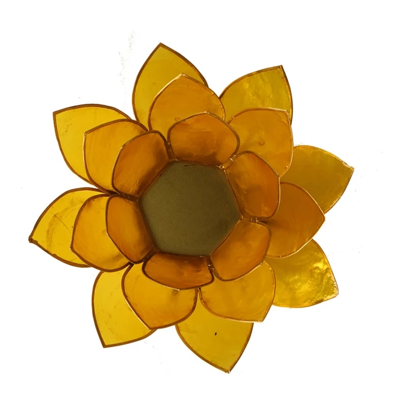 Lotus Atmospheric Light Yellow Chakra 3 Gold Trim -- 13.5 C - 2