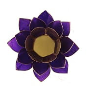 Lotus Atmospheric Light Chakra 7 Violet Gold Trim -- 13.5 C