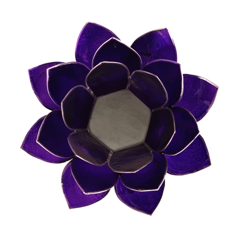 Lotus Atmospheric Light 7Th Chakra Violet Silver Trim -- 13 - 2