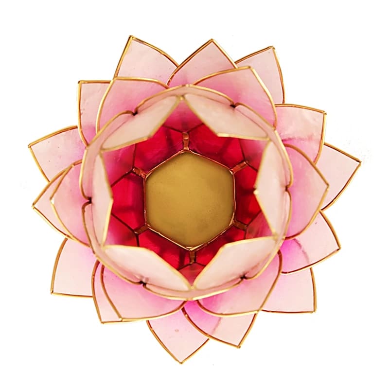 Lotus Light Pink/Light Pink Gold Trim Large -- 15X15 Cm - 2