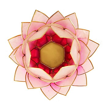 Lotus Light Pink/Light Pink Gold Trim Large -- 15X15 Cm