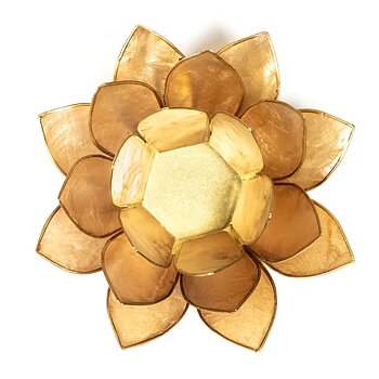 Lotus Atmospheric Light Smoked/Beige Gold Trim -- 13.5 Cm