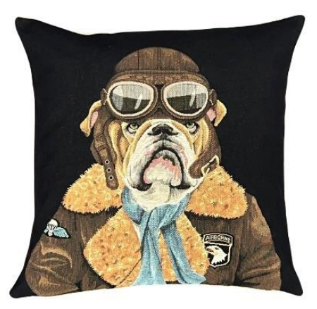 Airborne Bulldog