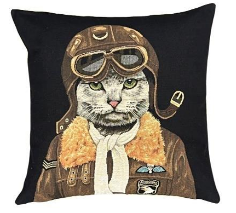 Airborne Cat