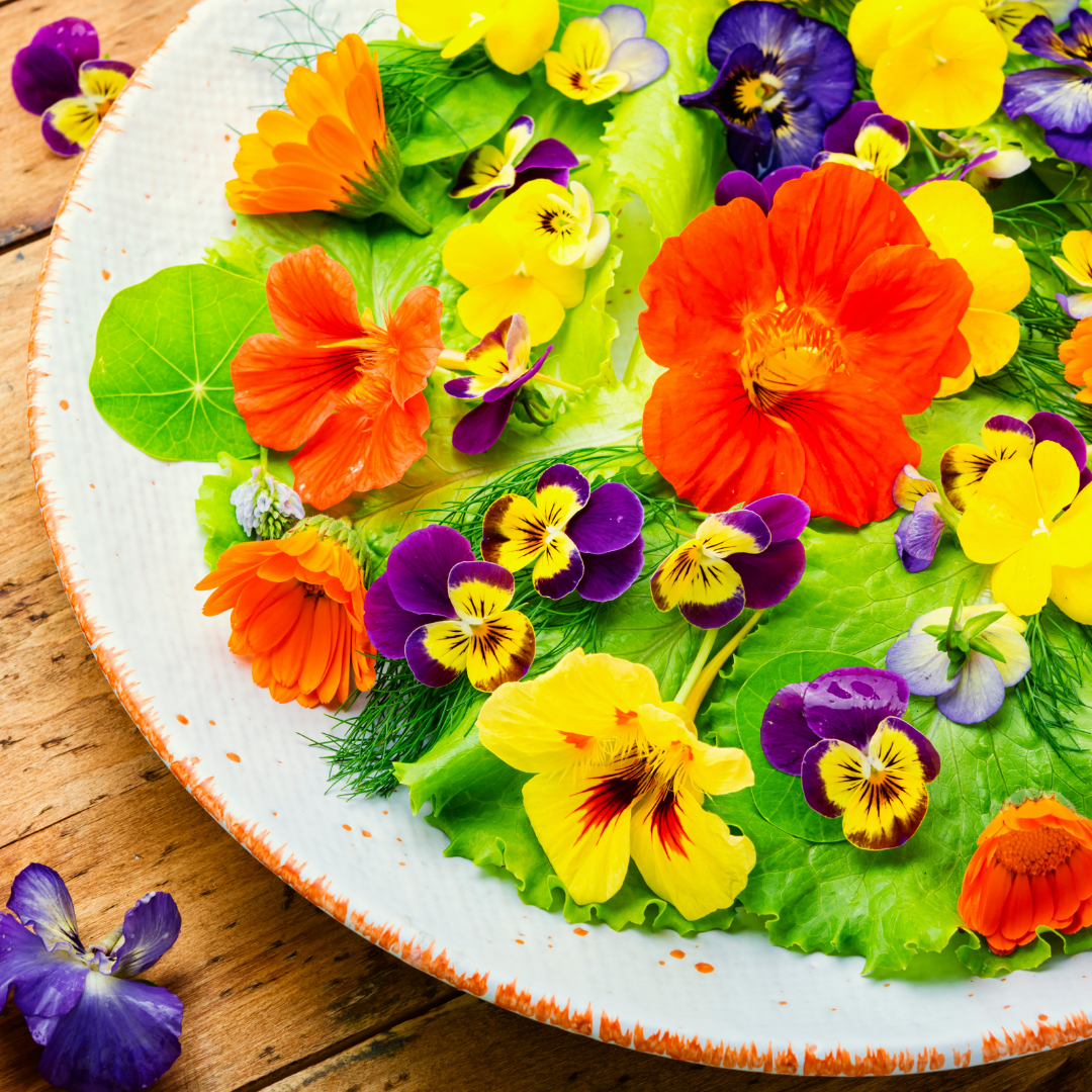 Bild på en tallrik med ätbara blommor