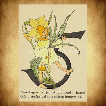 Blomstersiffor FEM - Ottilia Adelborg - 400