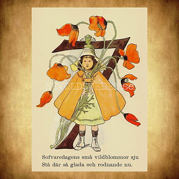 Blomstersiffor SJU - Ottilia Adelborg - 400