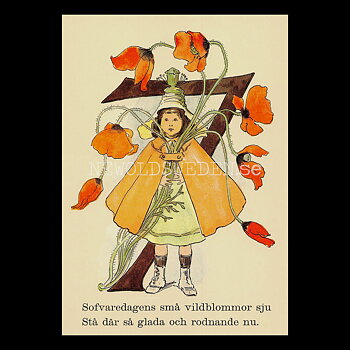 Blomstersiffor SJU - Ottilia Adelborg - 400