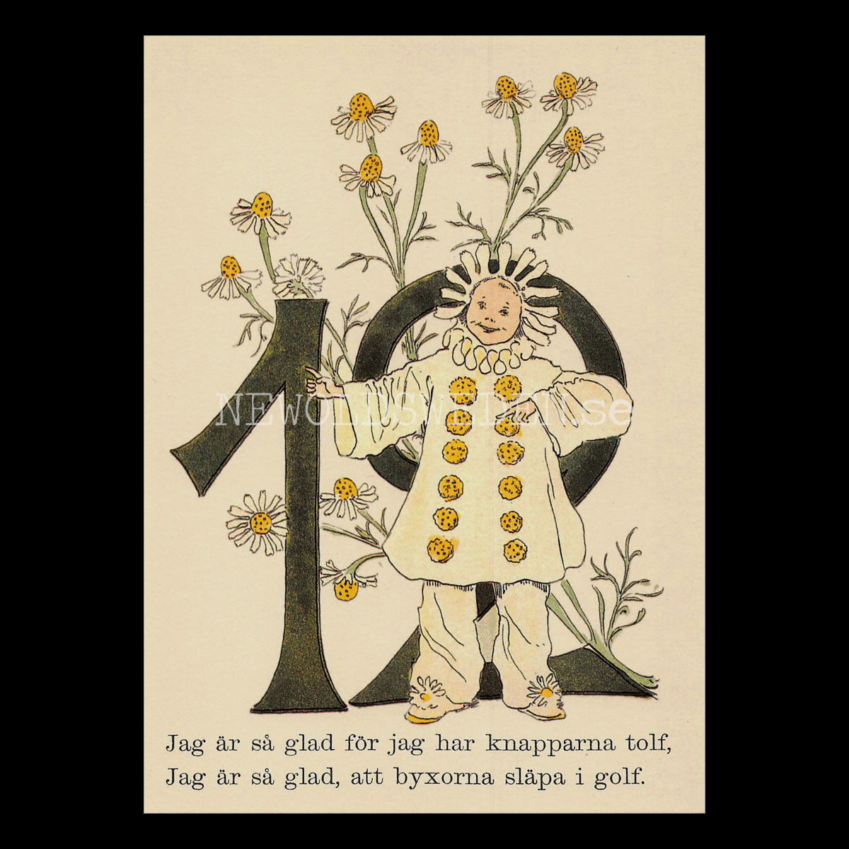 Blomstersiffor TOLV - Ottilia Adelborg - 400