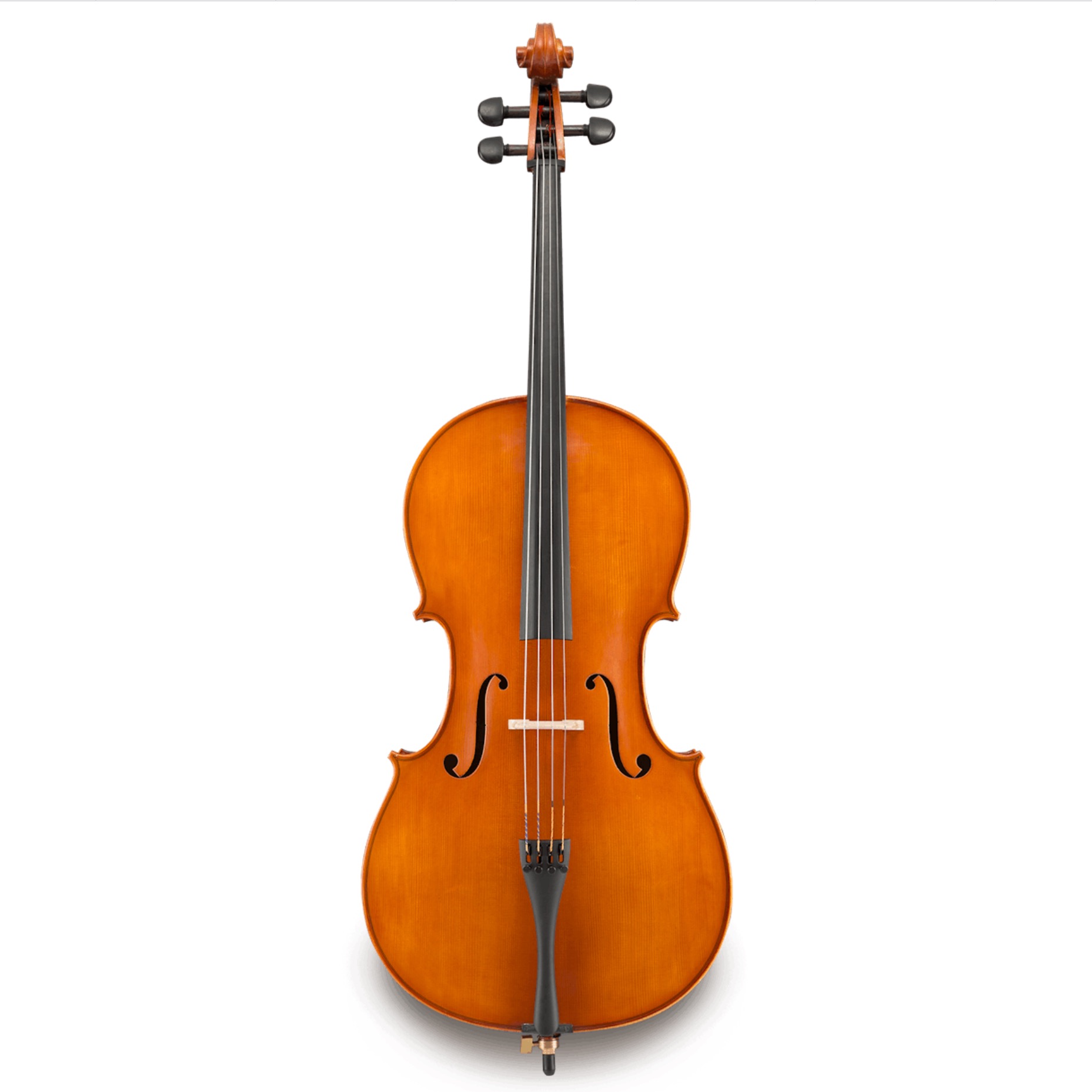 4/4 cello, Eastman Strings #250