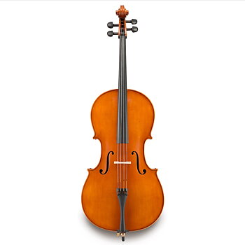 4/4 cello, Eastman Strings #250