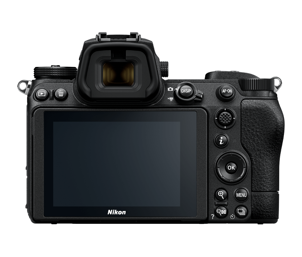 Nikon Z6 II - 2