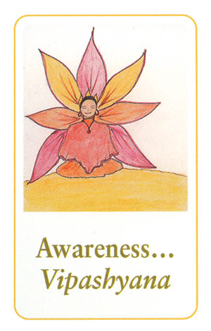 The Buddha Cards av Lin McNulty, Gayan Sylvie Winter - 3