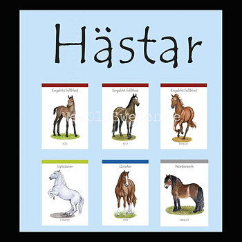 Hästar - Margareta Nordqvist - kortspel