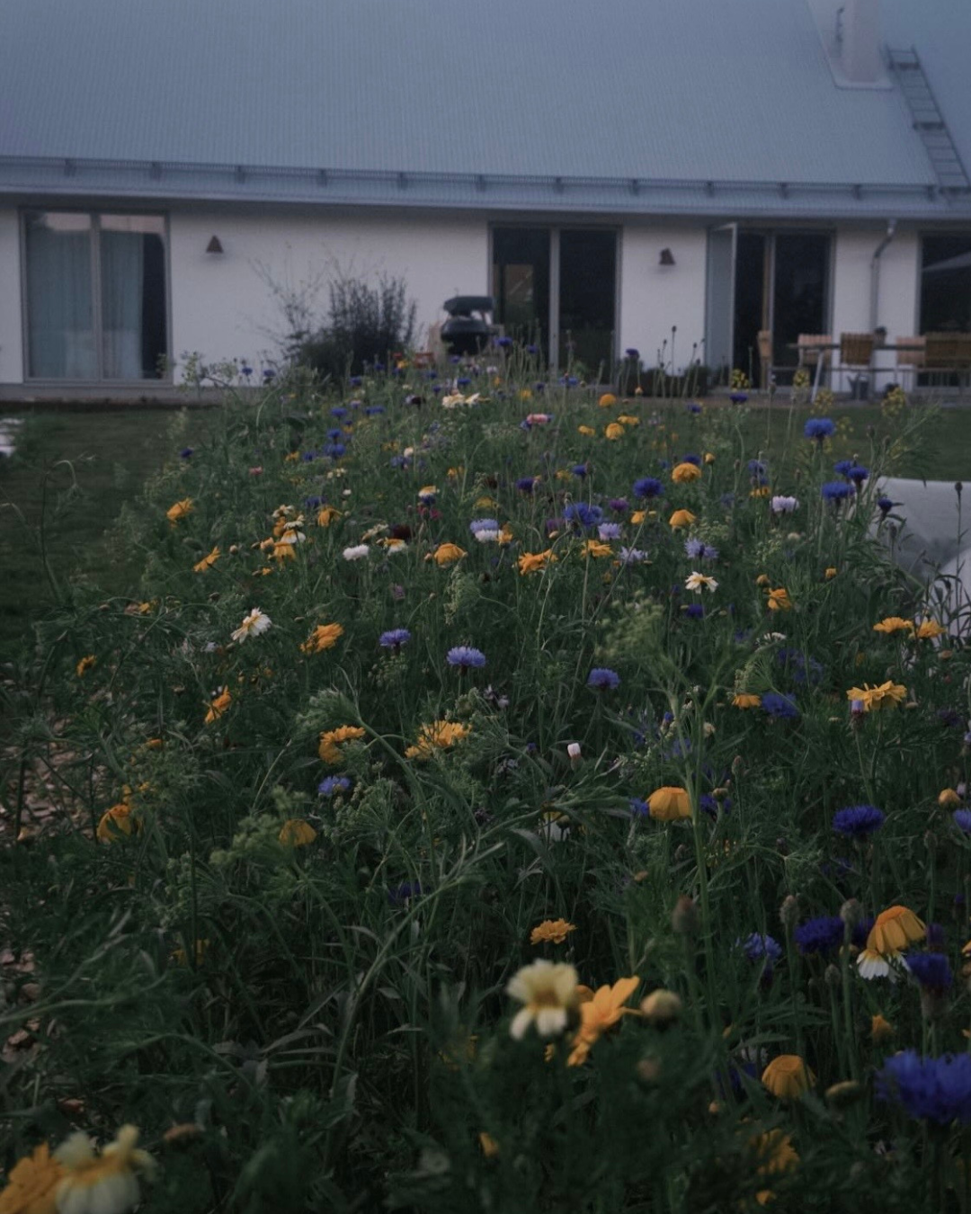 Blomstermix - Snittblommor