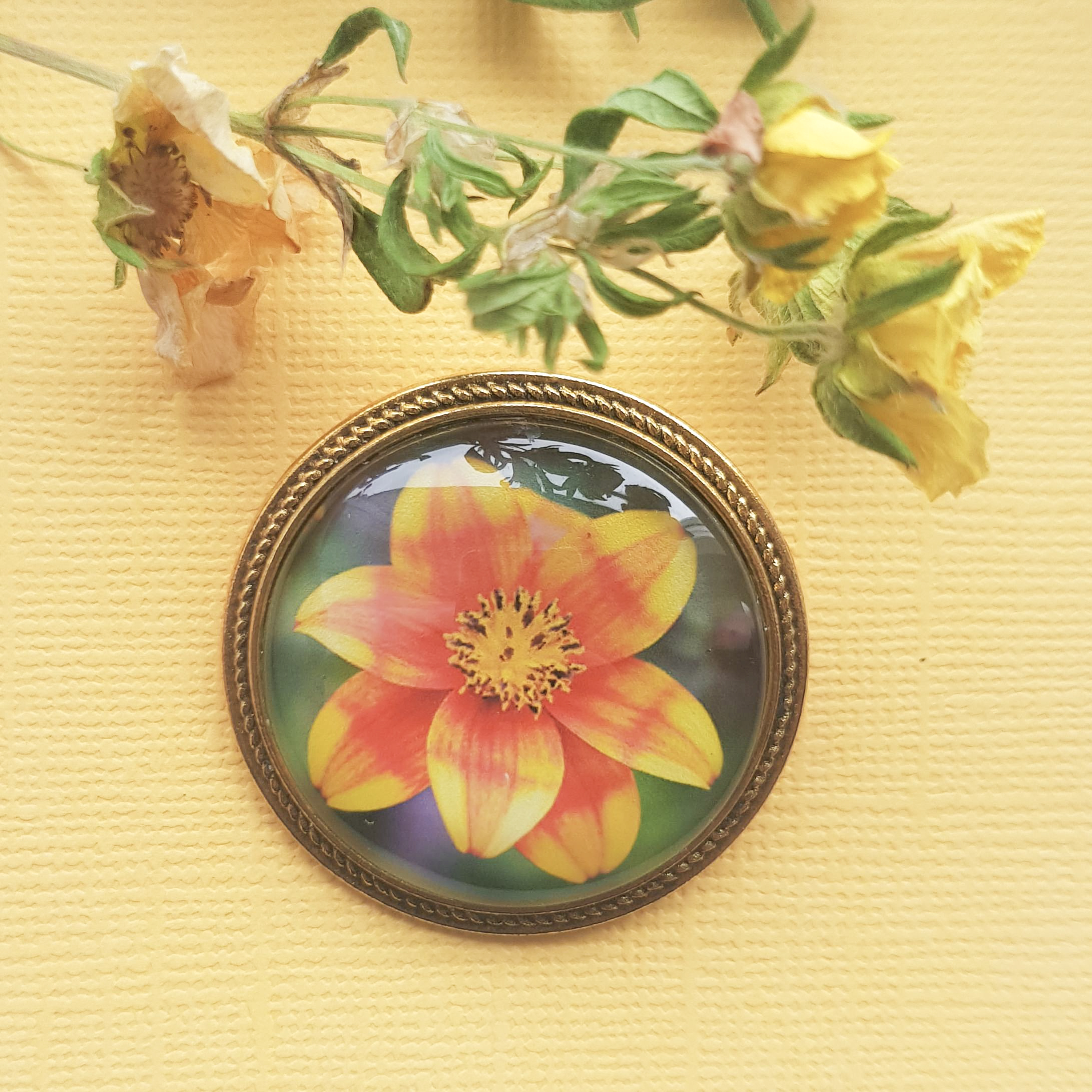 Bidens