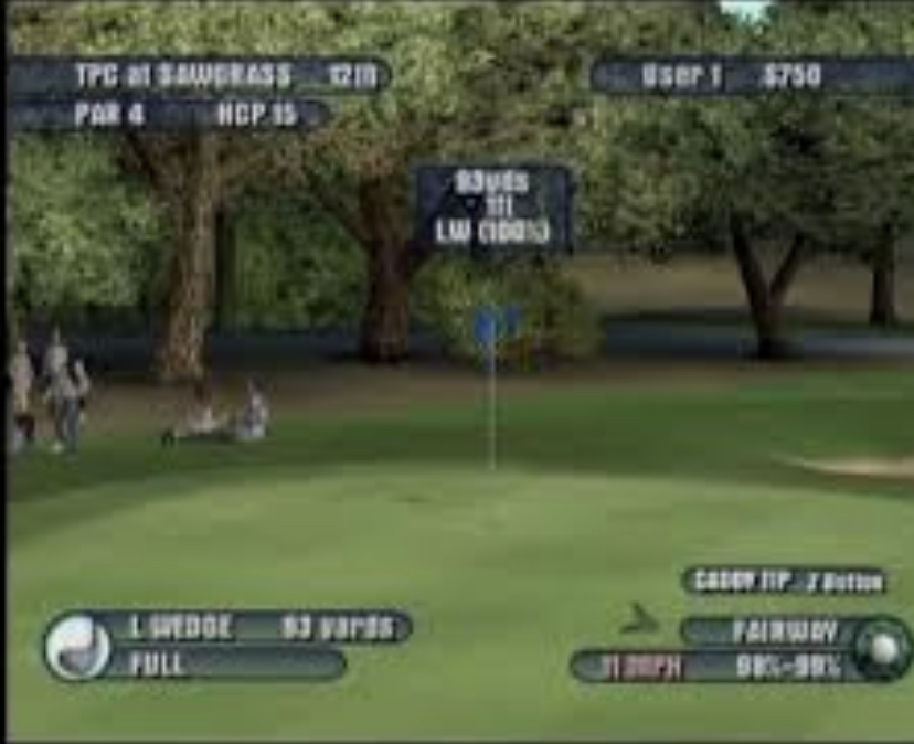 Tiger Woods PGA Tour 2003 - GC - 2