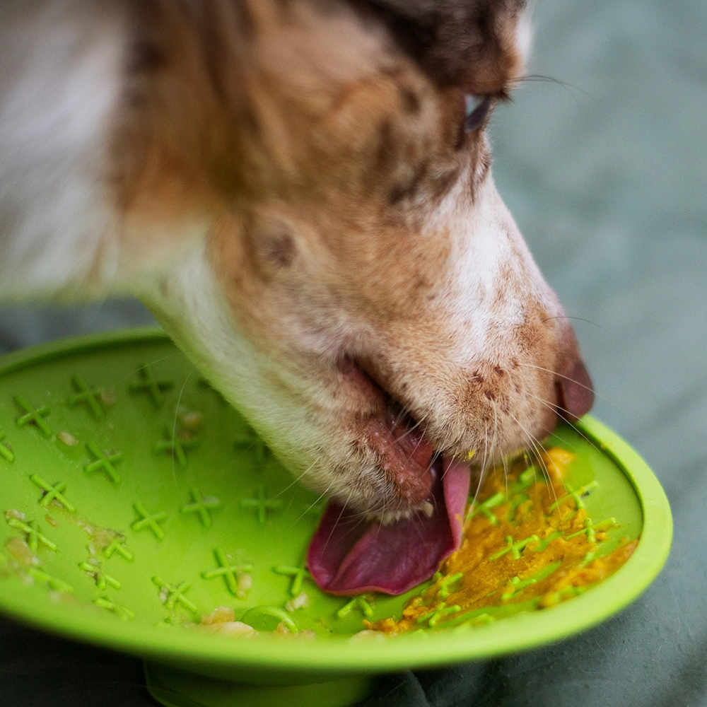 Lickimat Splash - 2