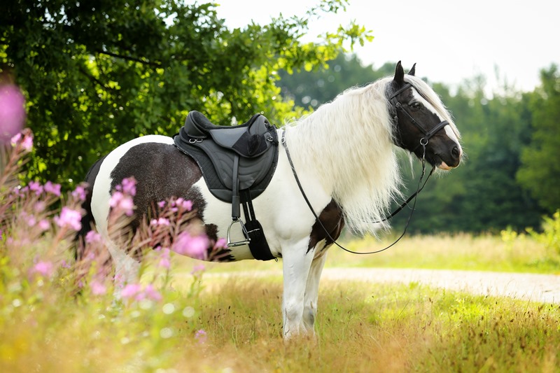  Barefoot® Saddle 'JustAdjust'  - 7
