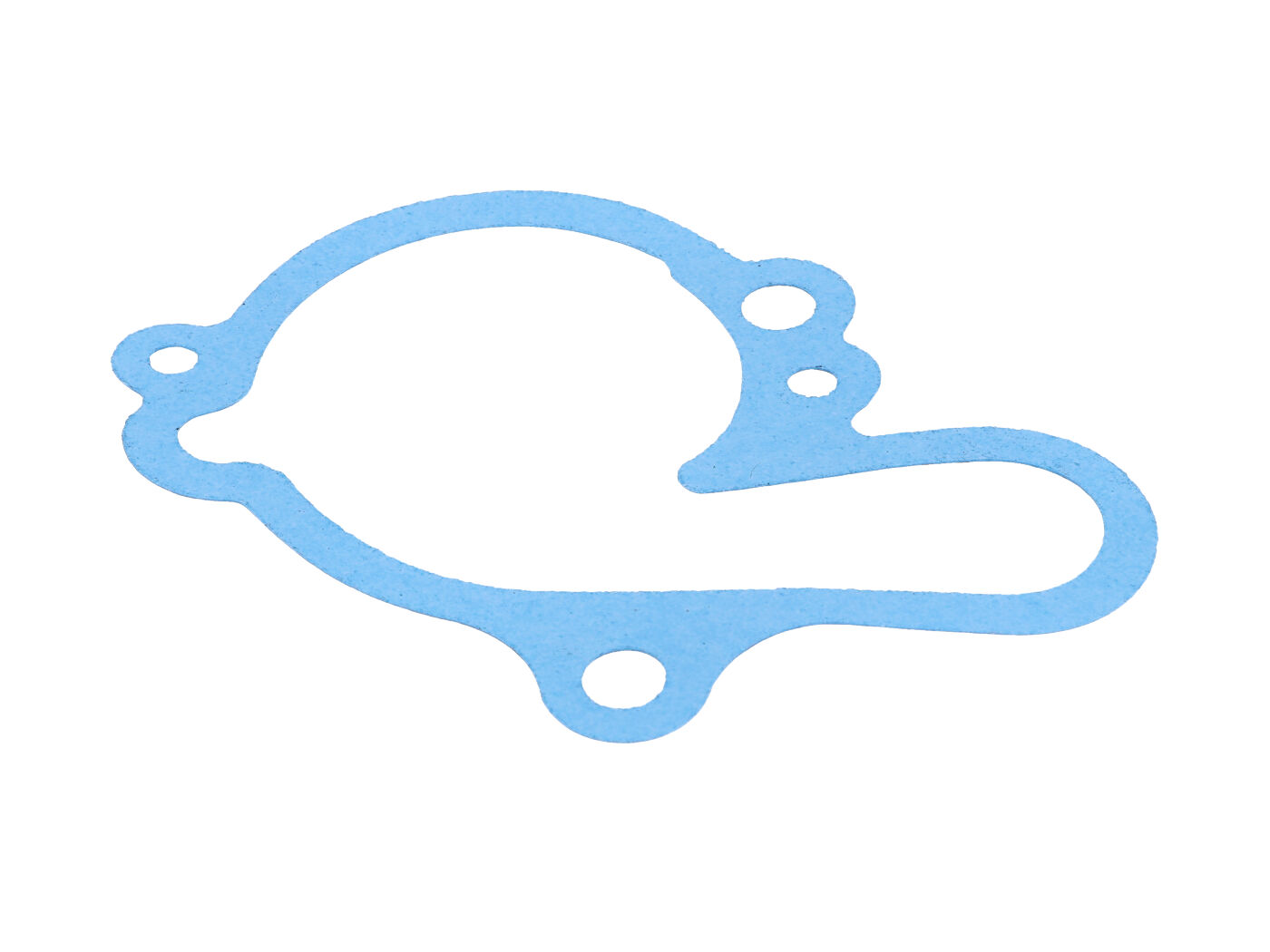 Water pump gasket - AM6
