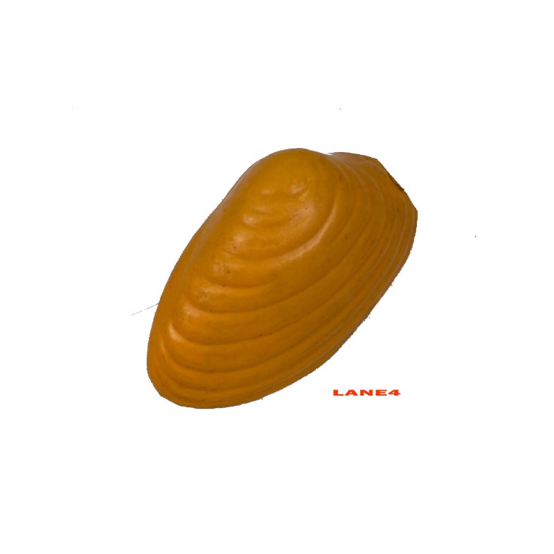 Diving toys diving pearls 5-pack from Lane 4 - 4
