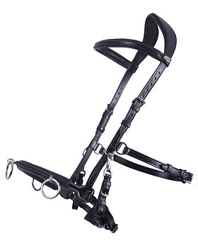 Ridkapson QHP, kedja (ponny till X-full), svart