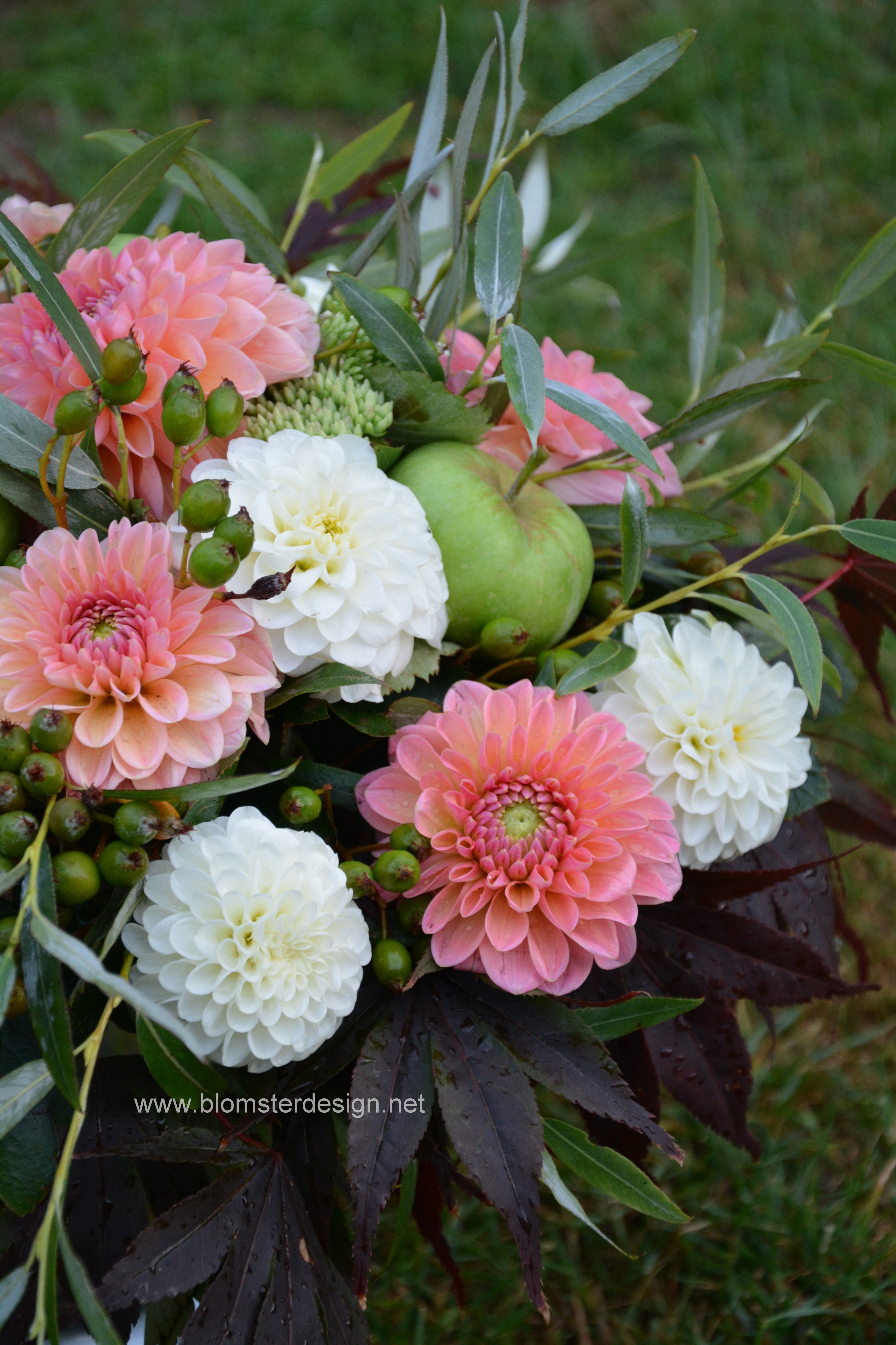 Dahlia Natalie G / Nathalie G - 6
