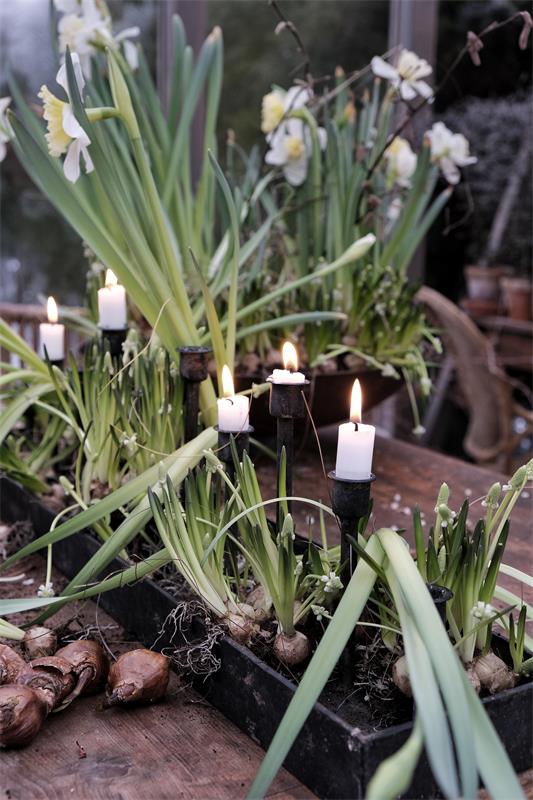 Candlestick - Table candlestick - 10 candles - 72 cm - 22