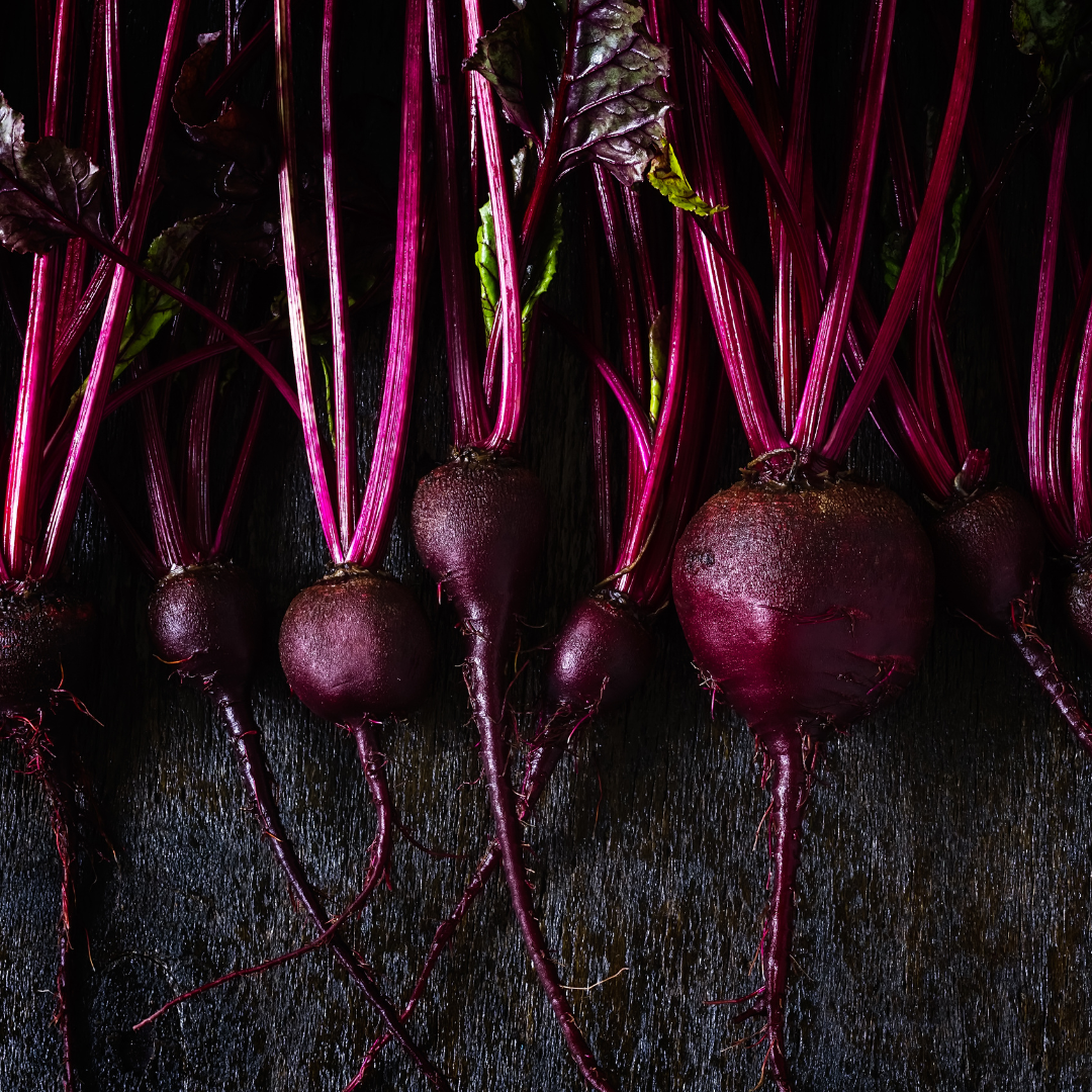 Rödbeta - Bulls Blood - Kultursort