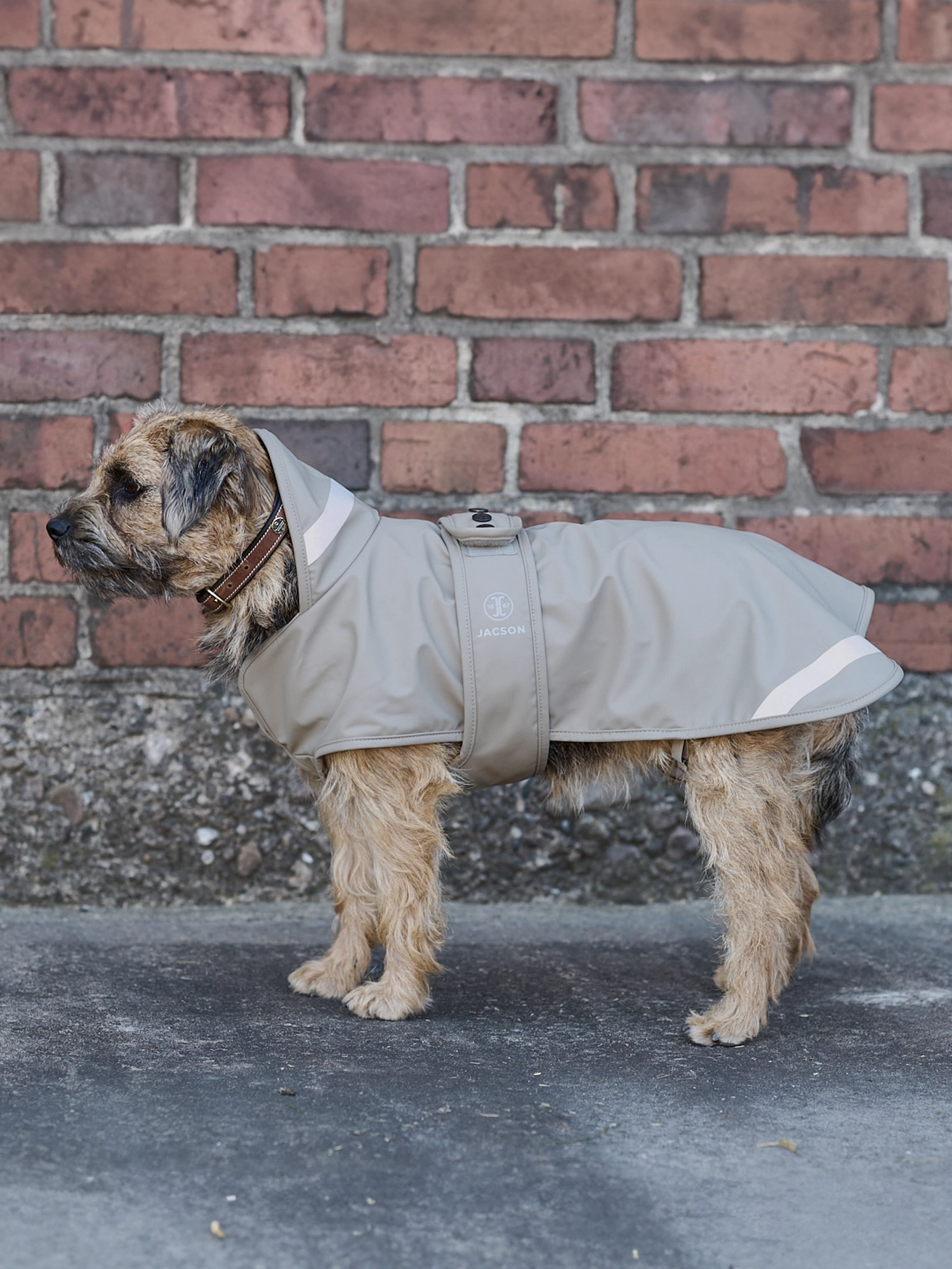 Jacson Barbro Hundtäcke Beige 55cm - 4