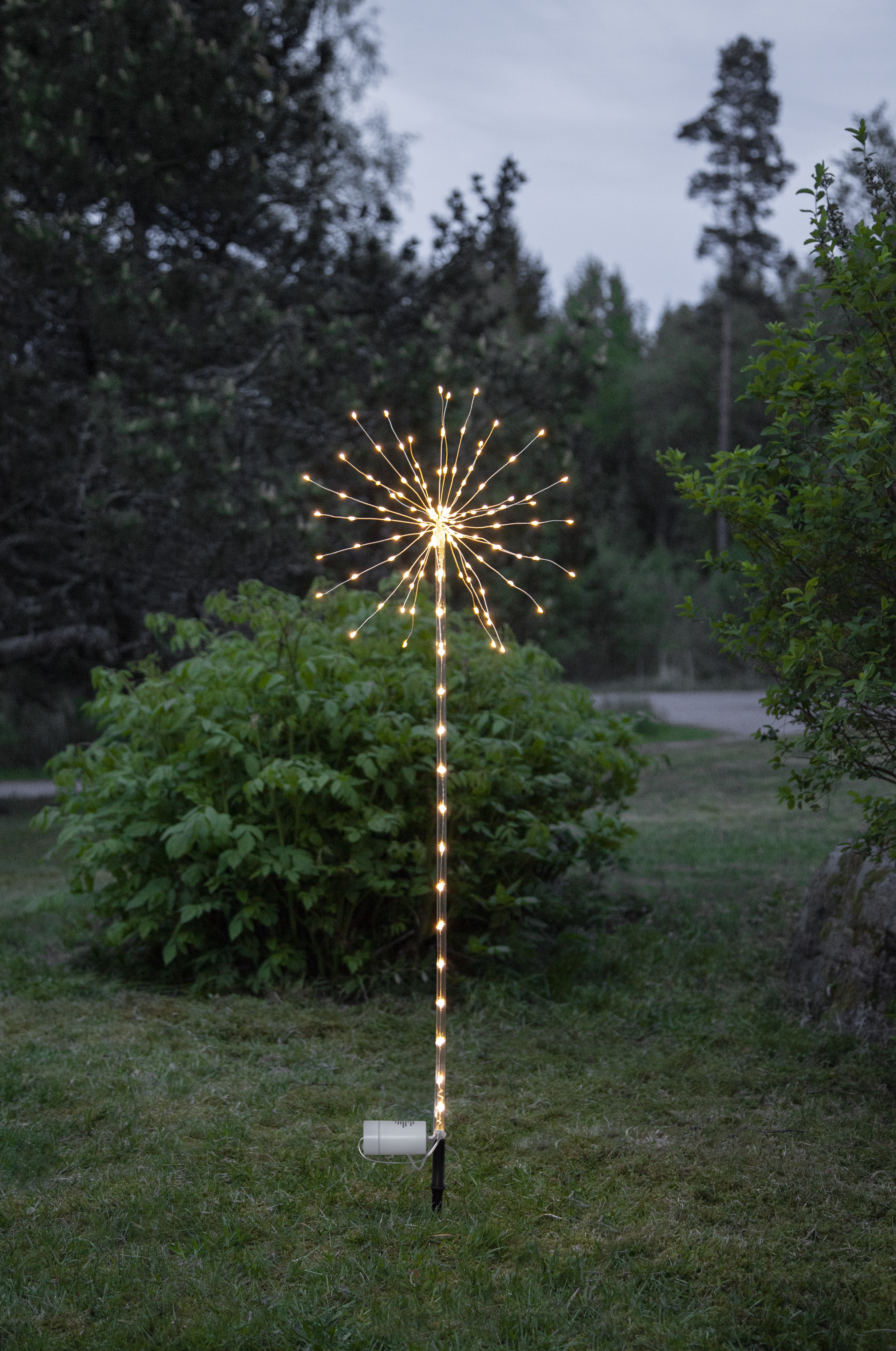 Outdoor decoration Firework Outdoor - 100 cm - 12