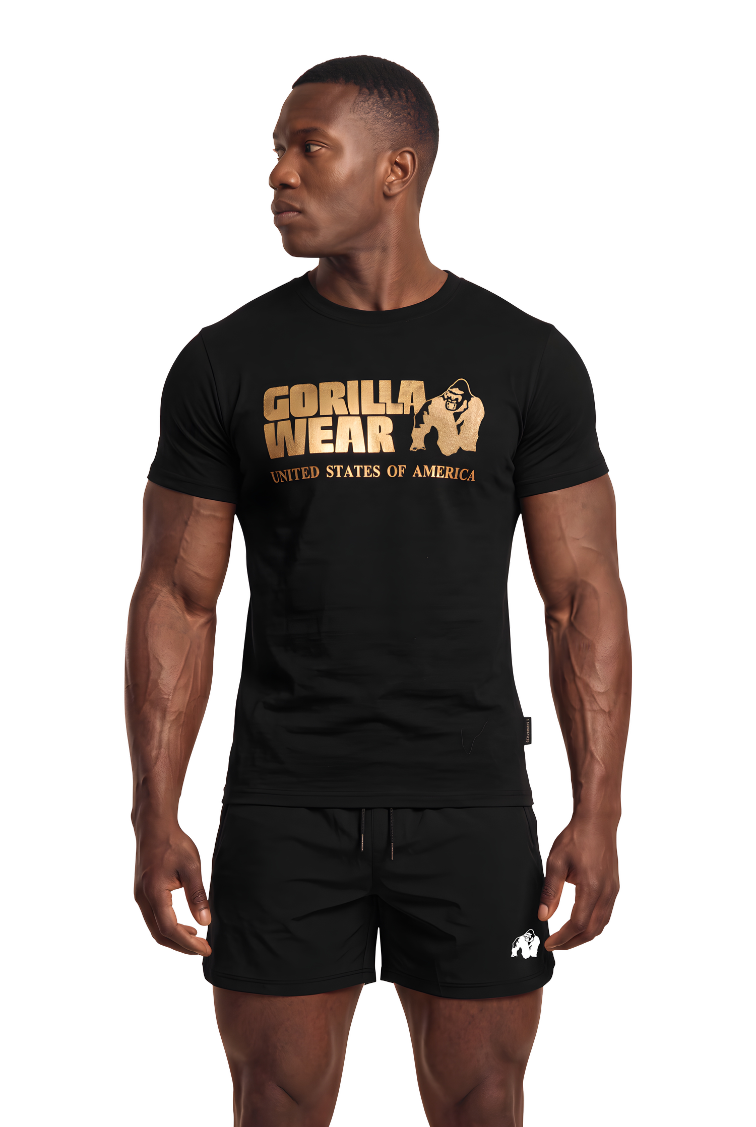 Classic T-Shirt, black/gold
