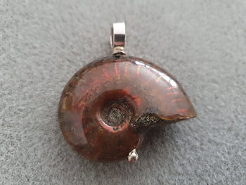 Ammonit fossil hänge med kraftig ögla 925-silver