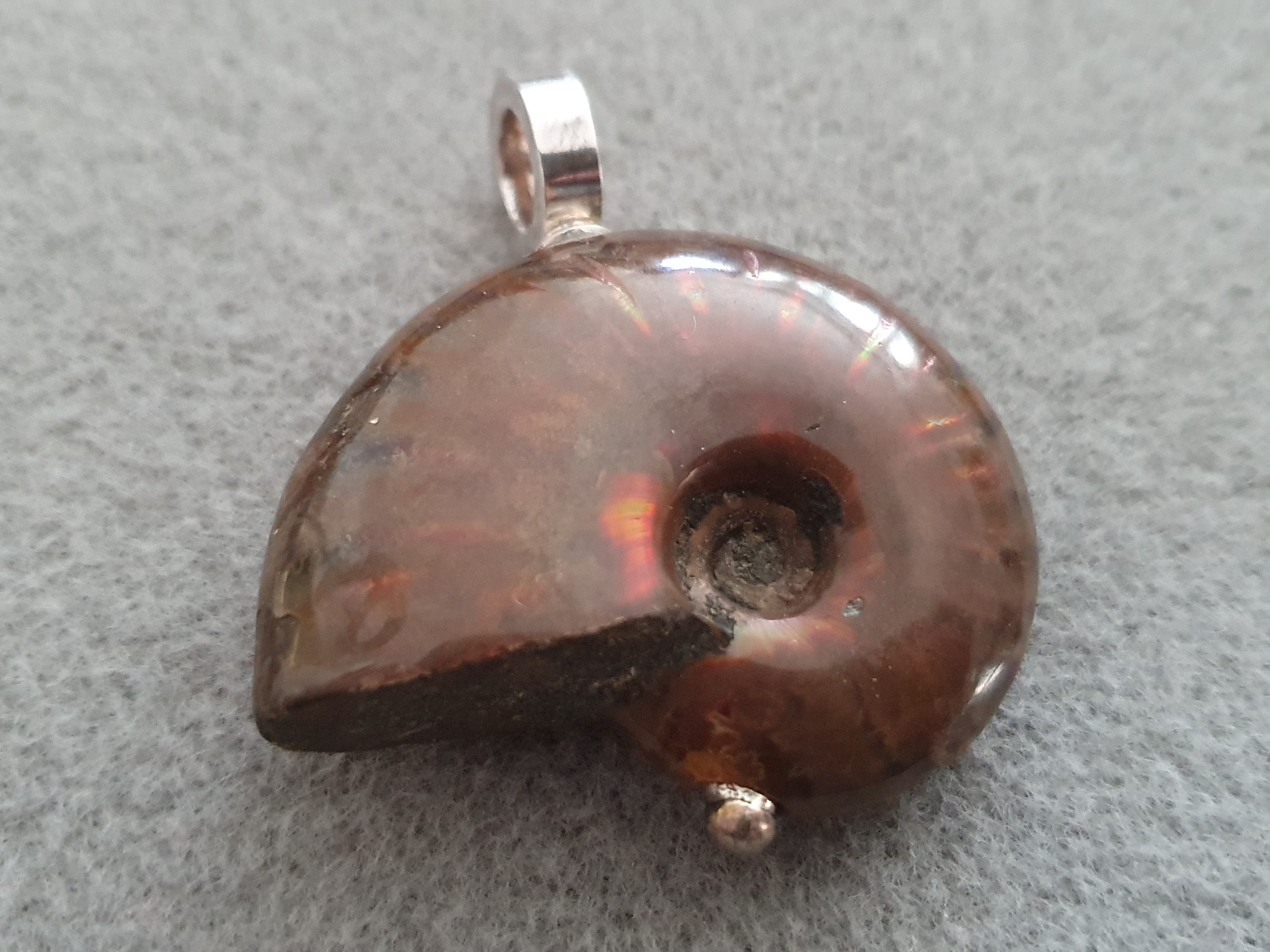 Ammonit fossil hänge med kraftig ögla 925-silver