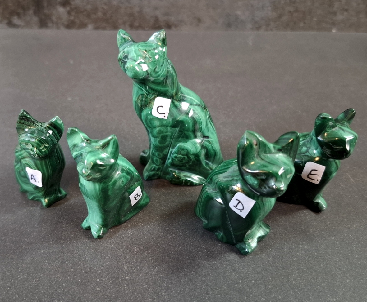 Malakit Katter - 5