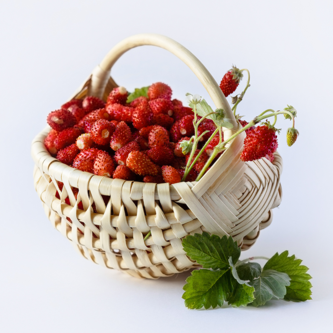 Smultron - Baron Von Solemacher - Kultursort