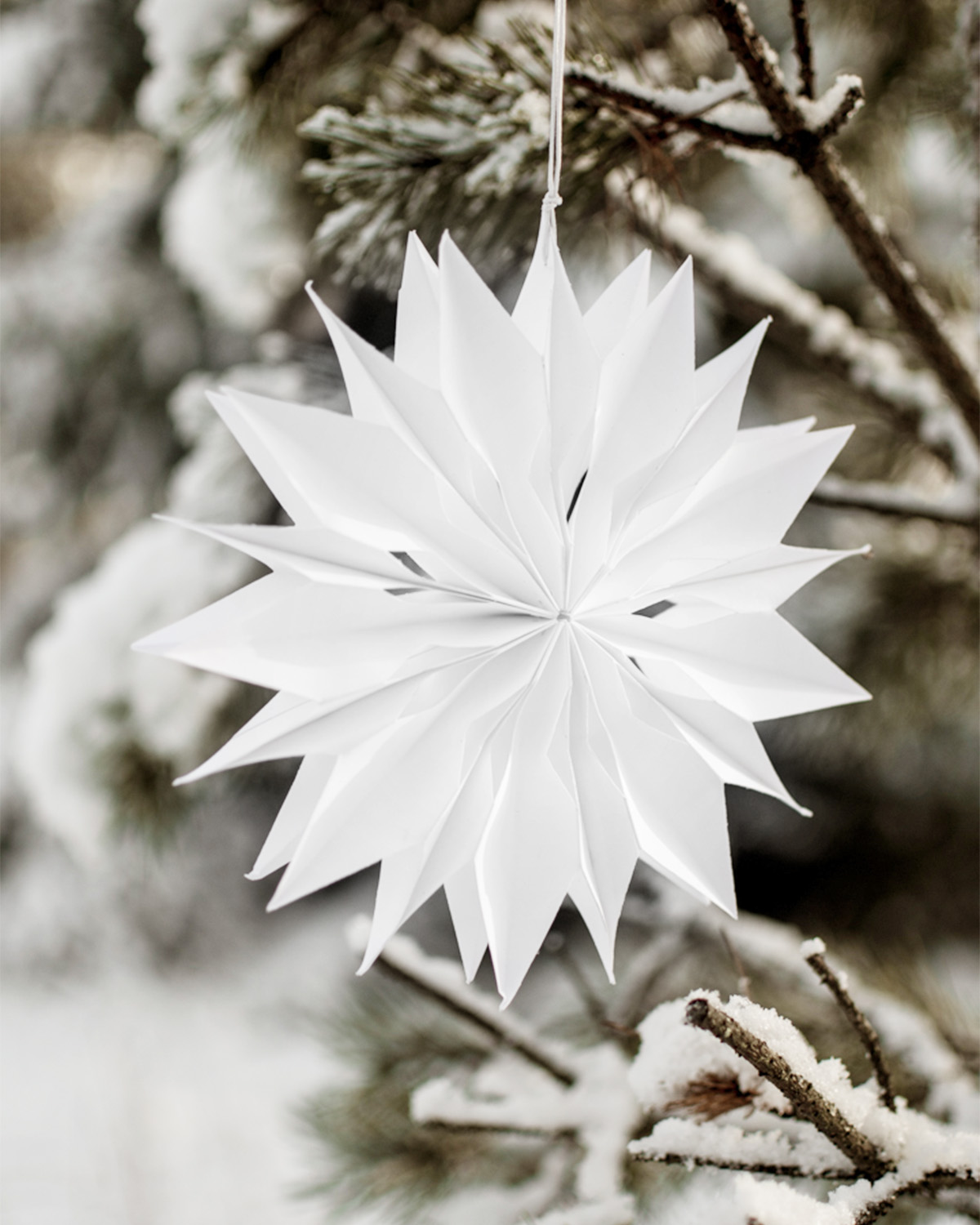 White Advent star/star - Paper - Paper star - 20 cm - 8