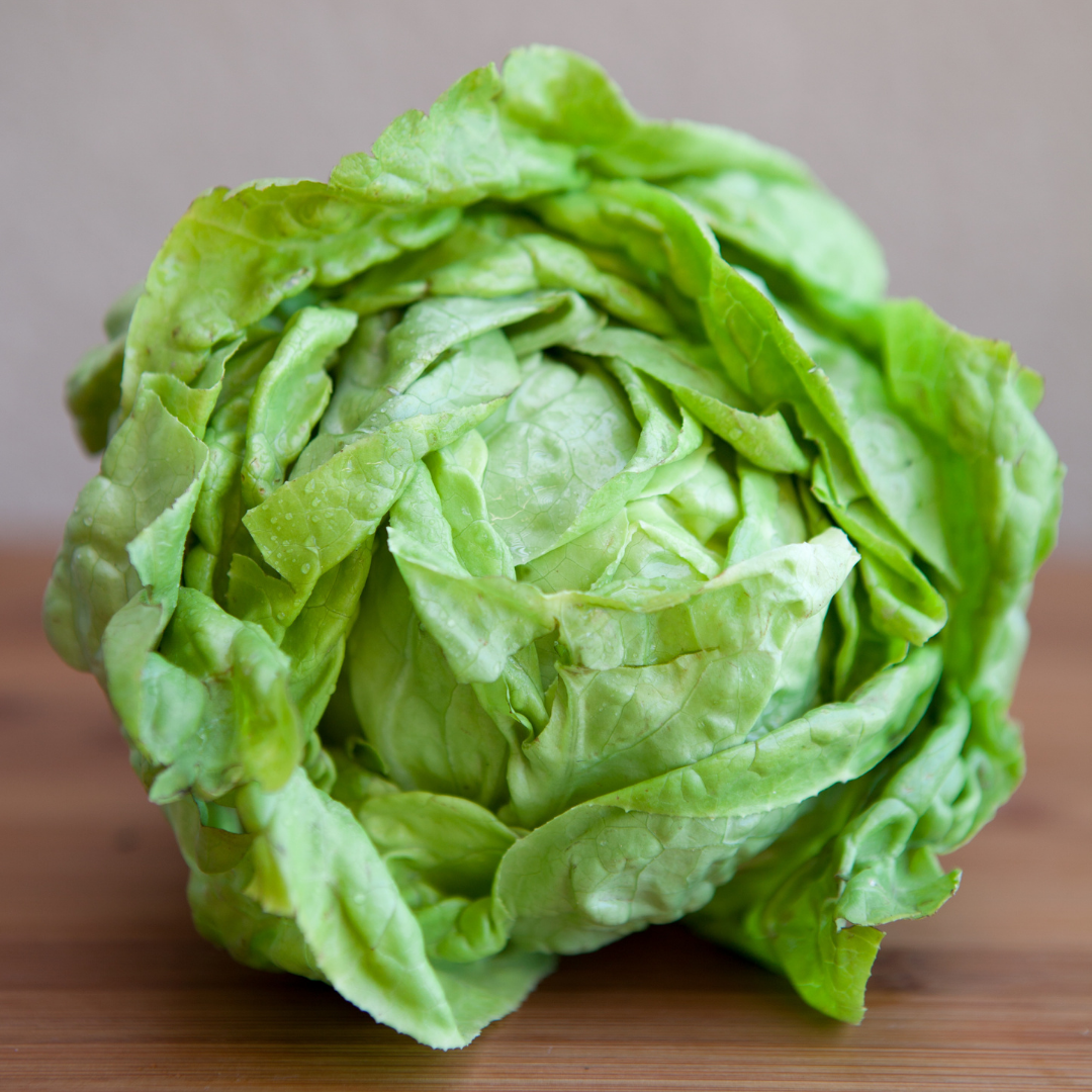 Huvudsallat - Appia - Kultursort